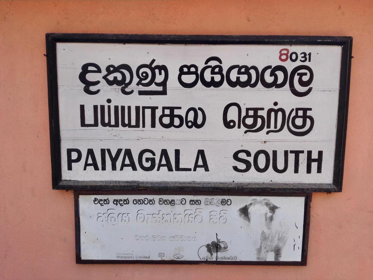 Thoduwawa Beach Villa Paiyagala Eksteriør bilde