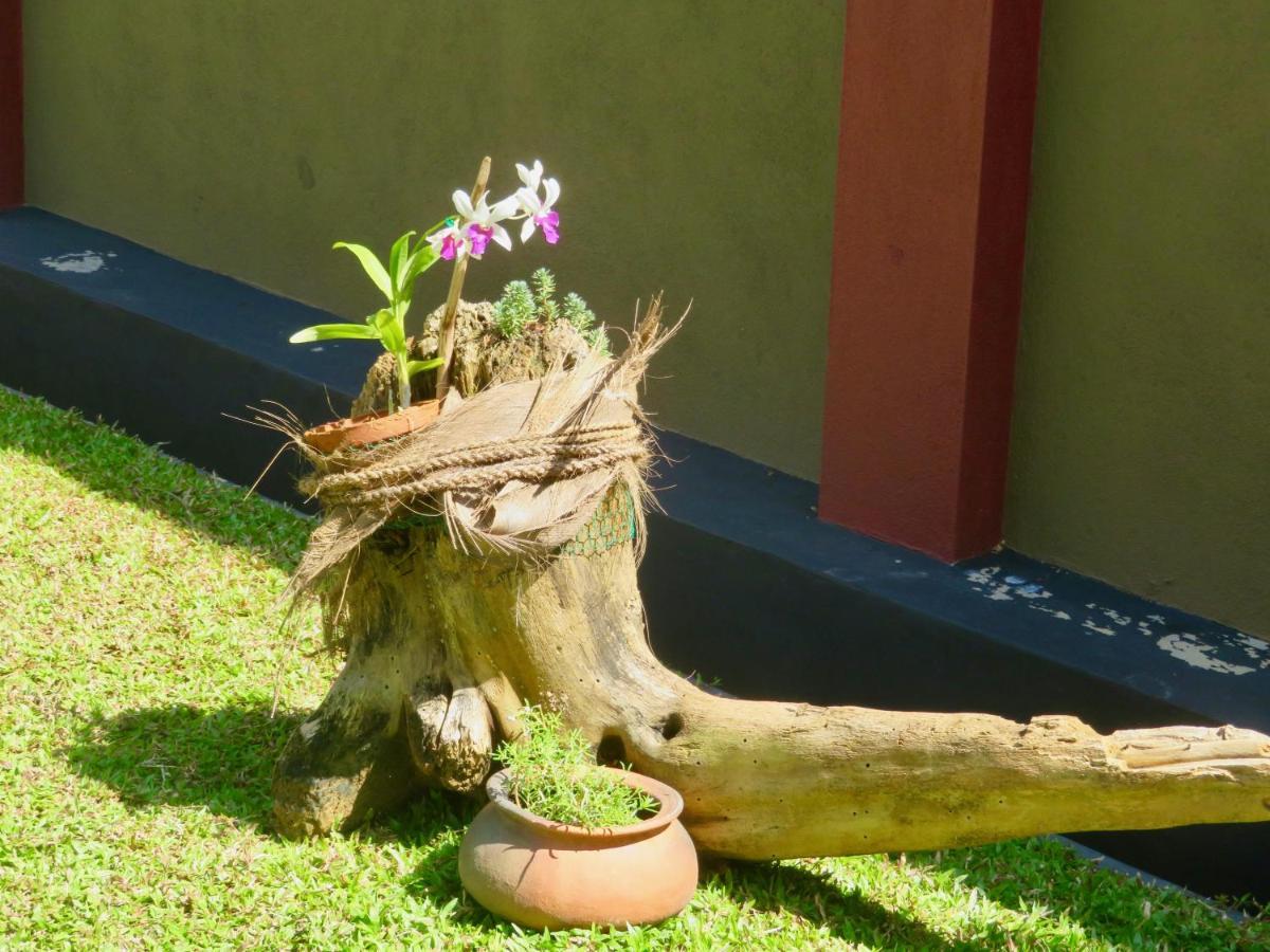Thoduwawa Beach Villa Paiyagala Eksteriør bilde